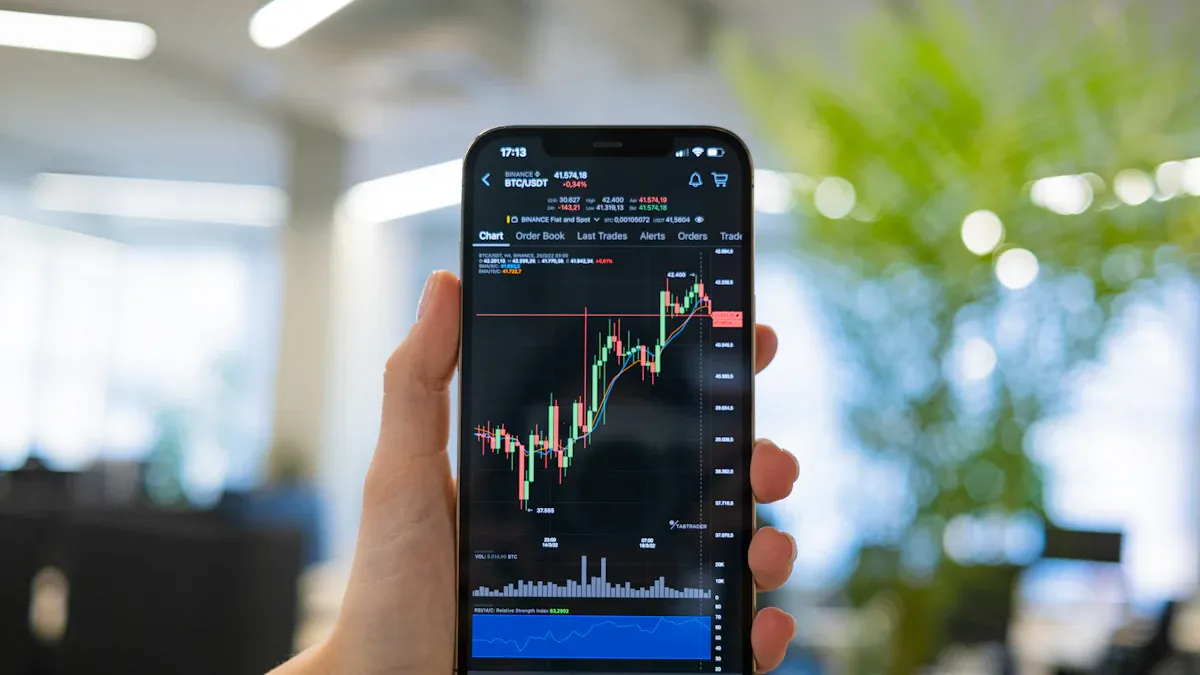 Investment Potential and Risks